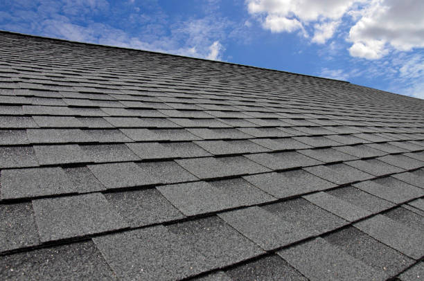 Best Roof Moss and Algae Removal  in Baxter, TN